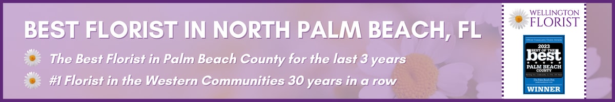 north palm
